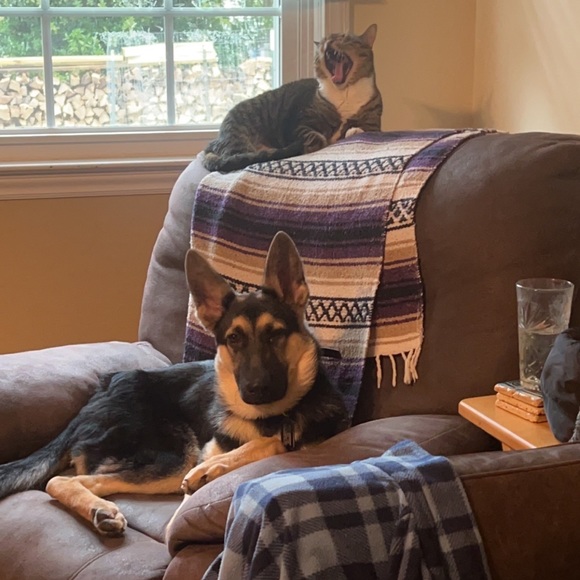 Meet your Posher, Kaitlyn - Picture 11 of 11